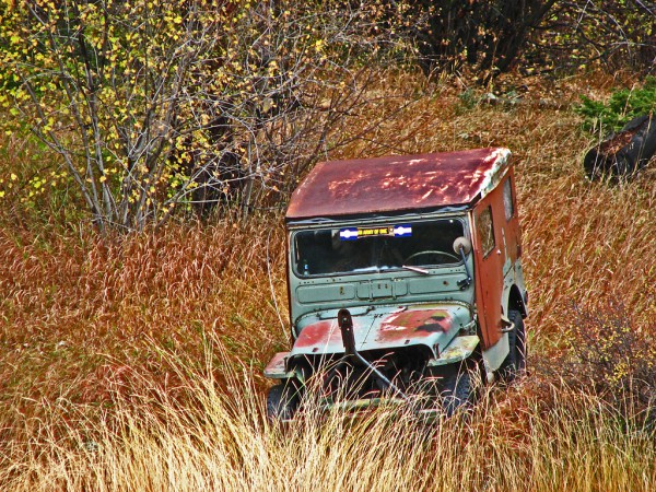 willys jeep, abandoned willys, abandoned jeep