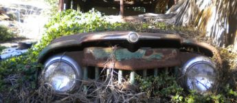 willys, abandoned willys, abandoned car